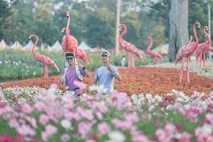 BIB: 
                            <button type="button" onclick="openModal(27344024)" class="btn btn-primary btn-sm float-right btn-popup" data-toggle="modal" data-target=".modal-high-quality">
                        <i class="fas fa-shopping-cart"></i> Add to Cart
                    </button>
                                            <button type="button" onclick="isThisMe(27344024, true)" class="btn btn-success btn-sm float-right btn-popup btn-isme hidden" data-toggle="tooltip" data-placement="bottom" title="นี่คือรูปของคุณใช่ไหม คลิกที่นี่เพื่อเอาเข้าอัลบั้ม">
                        <i class="fas fa-plus"></i> Add to album
                    </button>
                    <button type="button" onclick="isThisMe(27344024, false)" class="btn btn-warning btn-sm float-right btn-popup btn-isnotme hidden">
                        <i class="fas fa-ban"></i> Remove from album
                    </button>